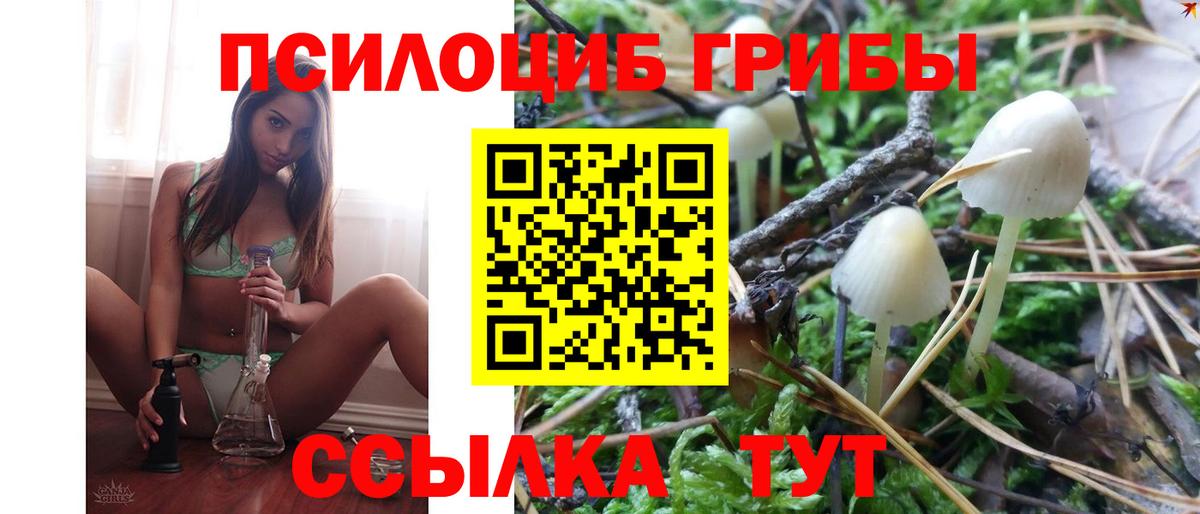 Псилоцибиновые грибы мицелий  Вход с VPN  Сухой Лог  Псилоцибиновые грибы Psilocybe 