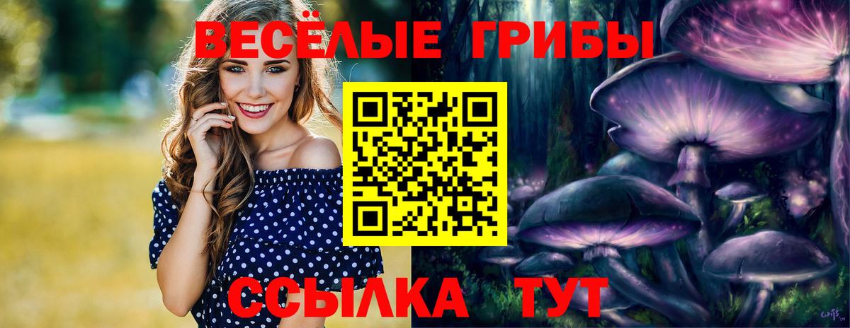 Галлюциногенные грибы ЛСД Сухой Лог